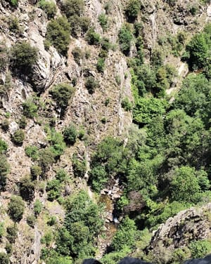 Onderdompeling in het hart van de Carança-kloven - Thuès-Entre-Valls - 53