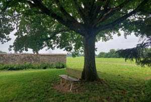 Villeneuve-le-Comte et ses alentours - Villeneuve-le-Comte - 3