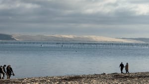 Atlantische Oceaan en Arcachonbaai bij Cap Ferret - Lège-Cap-Ferret - 30