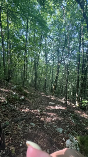 Retour aux sources et immersion à la chartreuse de Portes - Villebois - 8