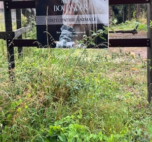 Promenade dans la campagne fréheloise - Anne - 5