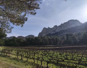 Les dentelles à Gigondas - Lionel - 23