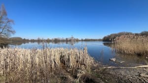 Randonnée vers le Lac du Héron - Villeneuve-d'Ascq - 6