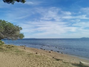 Du vieux salin de Hyères à la Londe - Nadine - 8