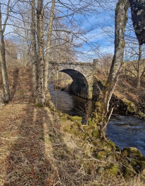 Promenade autour de Picherande. - Picherande - 6