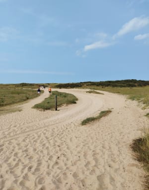 Schitterende wandeling naar Platier D'Oye - Gravelines - 21