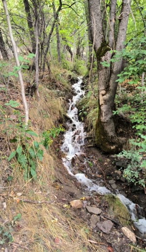 Canal de l'Eglise et de la Broue à la Salle - La Salle-les-Alpes - 3