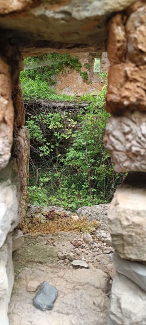 Boslus rond de Vis-waterval - Saint-Laurent-le-Minier - 20