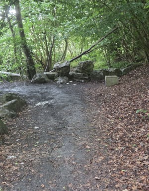 Les terrils jumeaux d'Haillicourt depuis Ruitz - Ruitz - 3