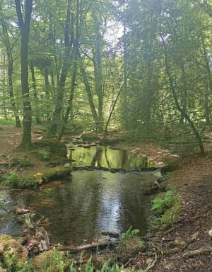 Forêt de Floranges et Goher Don - Camors - 4