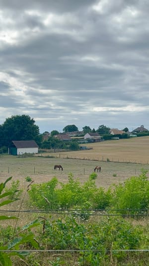 Balade dans les champs et en forêt à Sillé-le-Philippe - Solène - 3