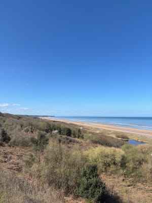 Entre forêt, campagne et mer à Colleville-sur-Mer - Colleville-sur-Mer - 12