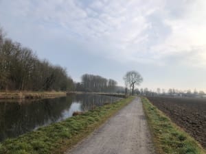 Rieulay, entre étang et tourbière et espaces protégés - Véronique - 18