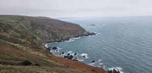 Nez de Jobourg, falaises et bocages normands - Jobourg - 50
