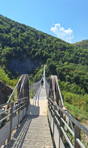 Passerelles de Monteynard - Mayres-Savel - 17