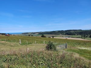 Randonnée au calme entre Veulettes et Malleville - Veulettes-sur-Mer - 6