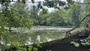 Sortie vélo" Bords de Loire" - Andrézieux-Bouthéon - 4