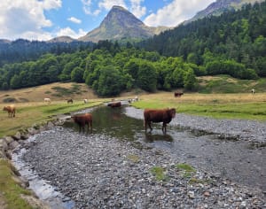 Rondleiding langs de Ayous-meren en de legende van de Pyreneeën - Laruns - 36