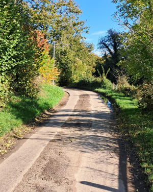 Petite boucle forestière autour de La Cerlangue - La Cerlangue - 5