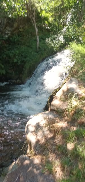 Tour  de Chaudes Aigues - Cantal - Chaudes-Aigues - 6