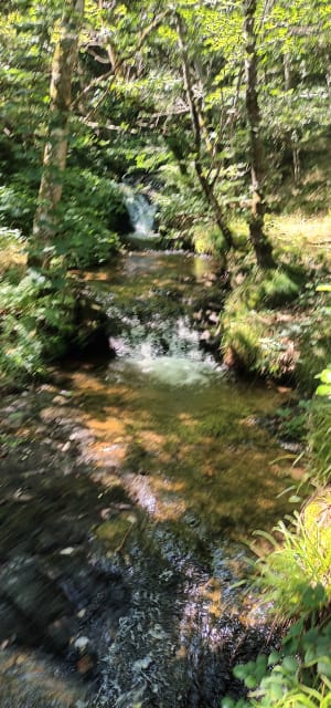 Tour  de Chaudes Aigues - Cantal - Chaudes-Aigues - 7