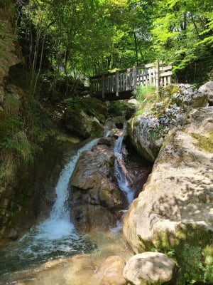 Watervallen van Alloix en Tardy Mill Loop in de winter - Saint-Vincent-de-Mercuze - 56