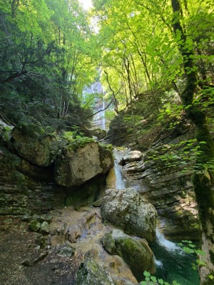 Watervallen van Alloix en Tardy Mill Loop in de winter - Saint-Vincent-de-Mercuze - 61