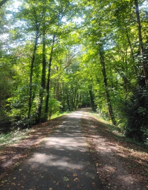 Balade rive droite en passant par Tresses et Latresne à vélo - Catherine - 8