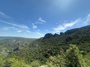 Saint-Guilhem-le-Désert et ses œuvres d'art naturelles - Saint-Guilhem-le-Désert - 8