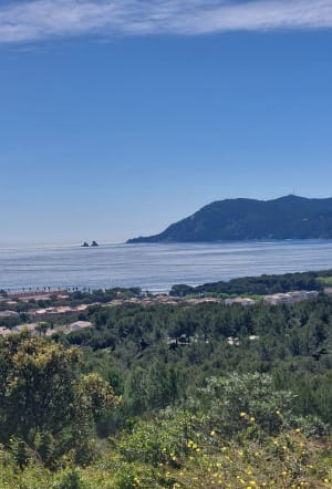 Contour de Pin Rolland - Saint-Mandrier-sur-Mer - 8