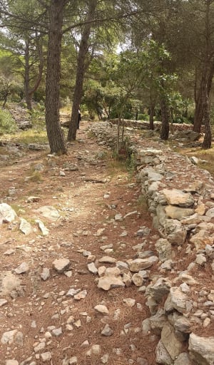 Promenade par les grottes, Pierre Tintante et de Col Gigean - Gigean - 18