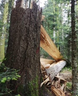 Chemin des écoliers à Liézey, par Blanchefontaine - Liézey - 8