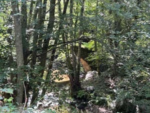 Olloix en stortvloed aan emoties in de kloven van de Monne - Olloix - 57