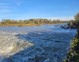 Balade autour du Rhône à Sablons - Sablons - 4