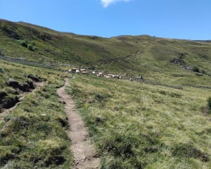 Excursion panoramique au Plomb du Cantal - Albepierre-Bredons - 10