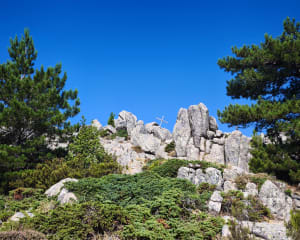 Punta Di a Vacca Morta - Porto-Vecchio - 19