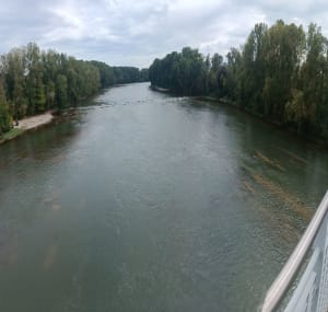 Zone verte de Gagnac le long de la Garonne - Gagnac-sur-Garonne - 11
