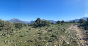 Rando au Mont Arpasse - Levens - 9