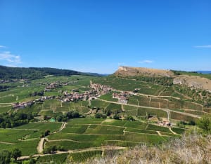 Crapahuter en haut de la roche de Solutré et vue panoramique - Solutré-Pouilly - 4