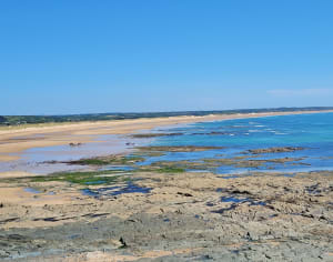 Cap du Rozel - Le Rozel - 19