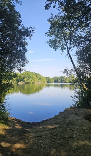 Moulin de Champcors au bois de Cicé à Bruz - Chavagne - 10