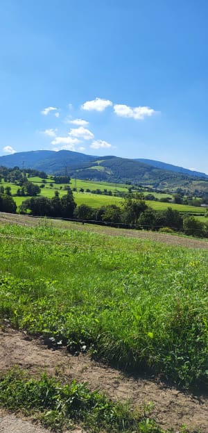 Belle balade sur les hauteurs de Saint Martin en Coailleux - Saint-Chamond - 9