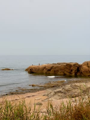 Promenade jusqu’à la mer depuis Le Fenouiller - Le Fenouiller - 3