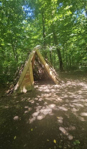 Sentier "Le colosse aux pieds d’argile" - Piney - 16