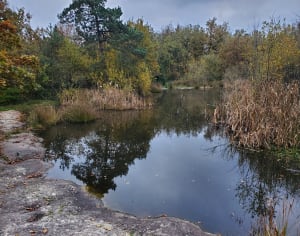 Balade autour de Boissy-le-Cutté, par Rocher Bizet - Boissy-le-Cutté - 11