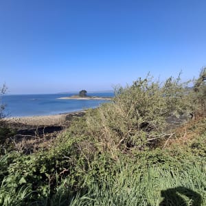 Logonna-Daoulas et le tour de la Pointe du Château - Logonna-Daoulas - 14