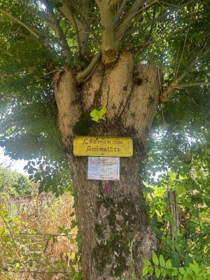 Entre vieilles pierres et ruisseaux à St Symphorien - Saint-Symphorien - 6