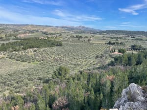 Mouriès et Le Castellas par le stade - Mouriès - 8