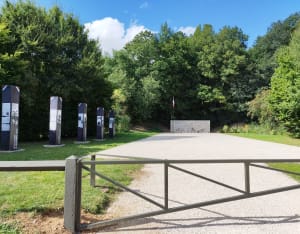 Bois de Seresville - Mainvilliers - 9