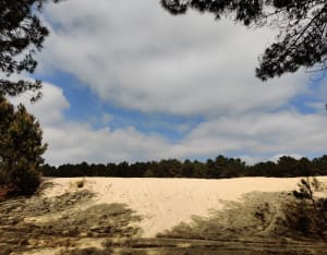 Ronde van het meer van Aureilhan - Merquedey, Mimizan - 4